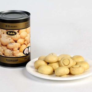 Champiñon en conserva